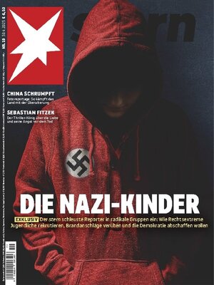 cover image of stern